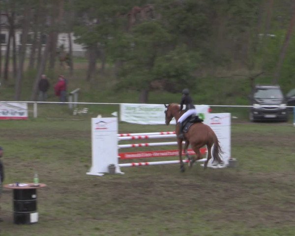 Reitturnier Colbitz 2022