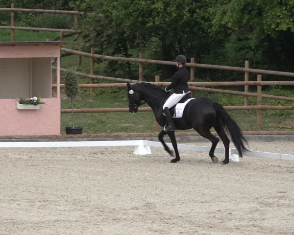 FEI Reitturnier Troisdorf (GER) 2022