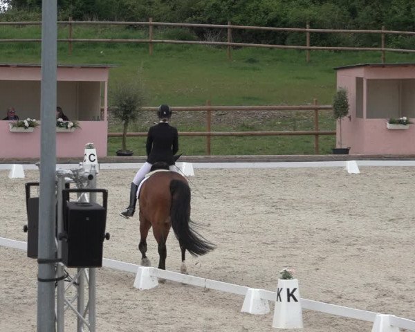 FEI Reitturnier Troisdorf (GER) 2022