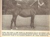 broodmare Erna (KWPN (Royal Dutch Sporthorse), 1957, from Ludo 4004)