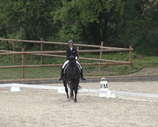 FEI Reitturnier Troisdorf (GER) 2022