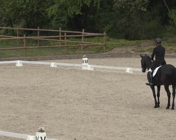 FEI Reitturnier Troisdorf (GER) 2022