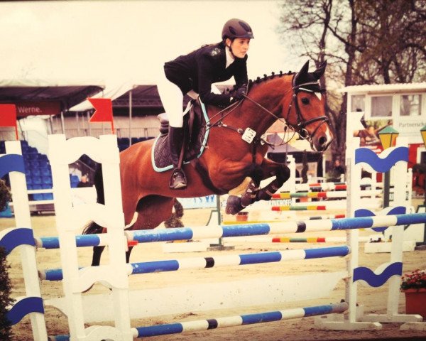 jumper Avantina (Hanoverian, 2007, from Abke 4)