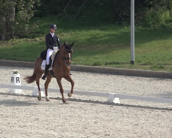 FEI Reitturnier Troisdorf (GER) 2022
