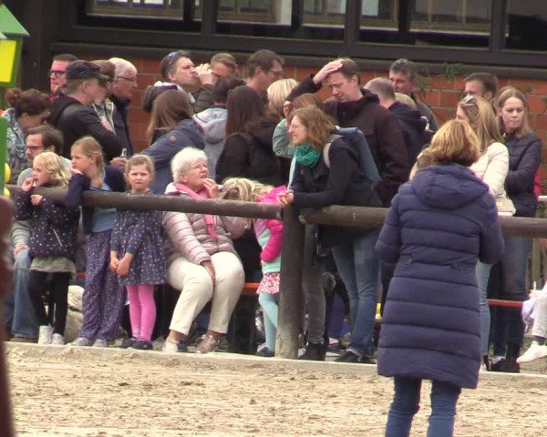 Reitturnier Havixbeck 2022