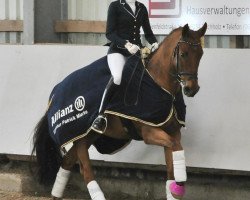 dressage horse Feodora 107 (Westphalian, 2008, from Fürst Piccolo)