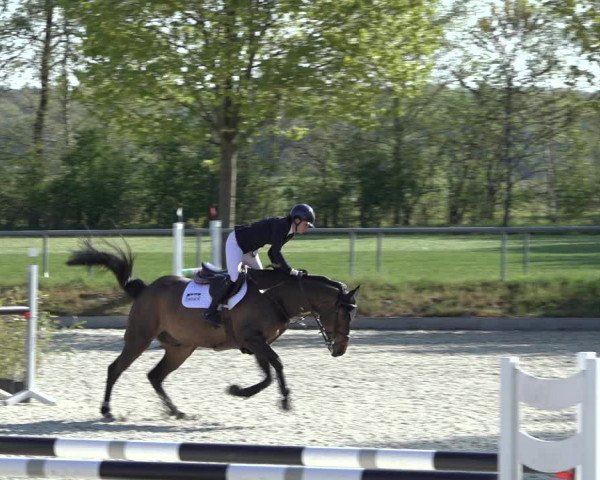 Reitturnier Elmlohe 2022