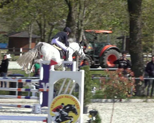 Reitturnier Elmlohe 2022