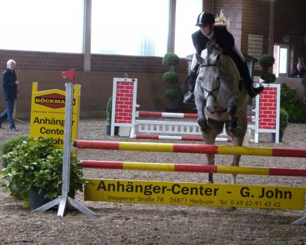 Zuchtstute Blue Bell Flower S (Niederländisches Warmblut, 2006, von Salvatore)