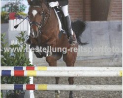 jumper Manolo 68 (German Riding Pony, 2004, from Mentos)