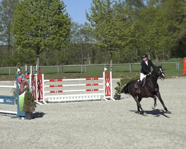 Reitturnier Elmlohe 2022