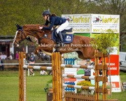 jumper Bella Luna (Hanoverian, 2012, from Balou du Rouet)