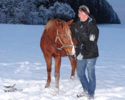 dressage horse Happy Dream (German Riding Pony, 2010, from Happy Boy)