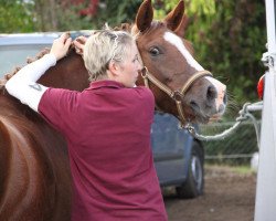 broodmare Crystal (German Riding Pony, 2004, from Notre d'Amour)