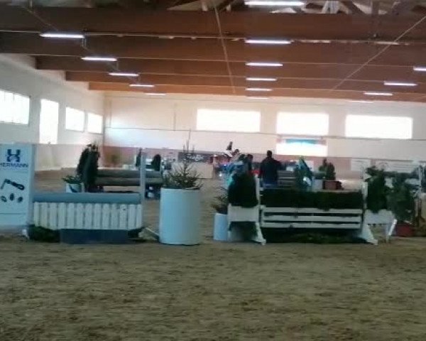 Video of Anca 15