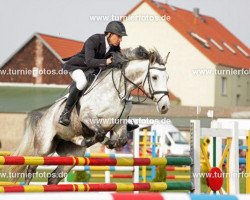 broodmare Ricky 188 (German Sport Horse, 2005, from Robertico)