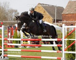 jumper Echt Gut (Hanoverian, 2004, from Earl)