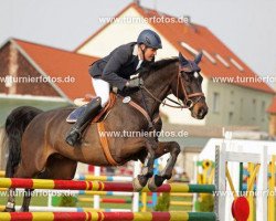 jumper Cozitano 2 (Brandenburg, 2002, from Carismo II 123 FIN)