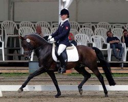 Deckhengst Der feine Lord AT (Rheinländer, 2000, von Dressman)