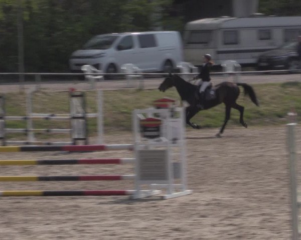 Reitturnier Lgl.-Oberhain, B95 2022