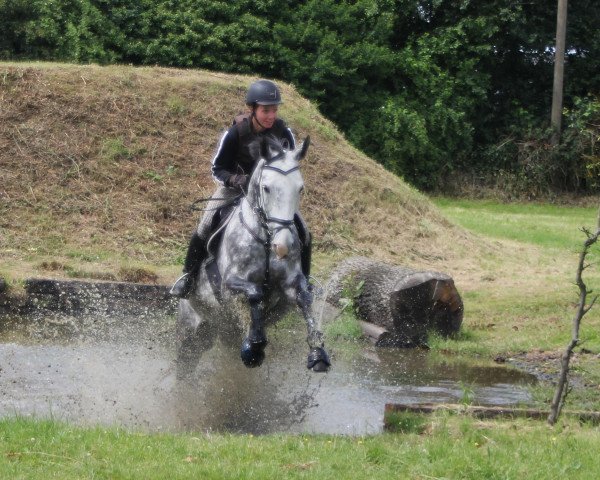 Dressurpferd Mary-Lou 61 (Polnisches Warmblut, 2004, von Cison xx)