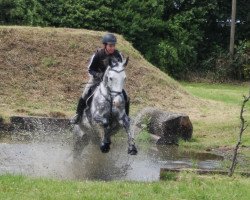 dressage horse Mary-Lou 61 (Polish Warmblood, 2004, from Cison xx)