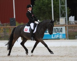 Dressurpferd Cristal Noir Primo (Deutsches Reitpony, 2005, von Caracas)