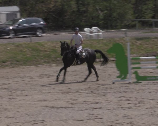 Reitturnier Lgl.-Oberhain, B95 2022