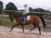 dressage horse Ras al Gethi M de Satin (Württemberger, 2004, from Royaldik)