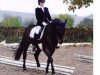 dressage horse Miss Bayern (Bavarian, 2004, from Donnerzauber)