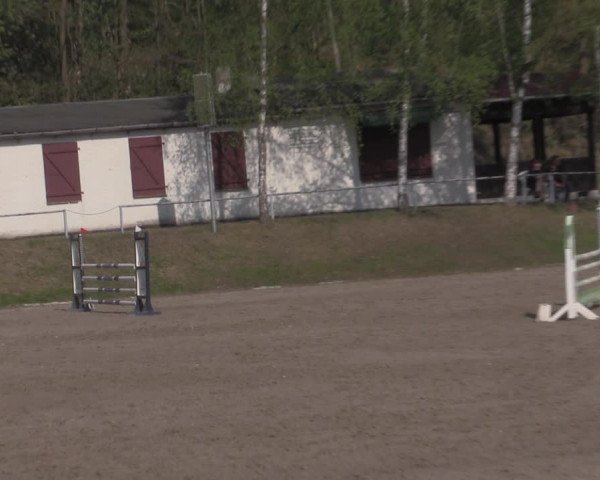 Reitturnier Lgl.-Oberhain, B95 2022