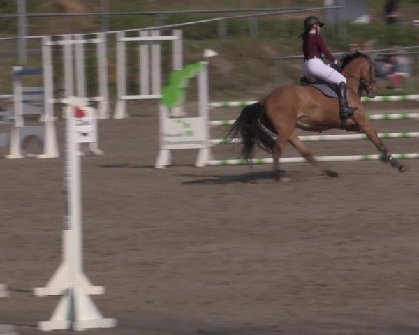 Reitturnier Lgl.-Oberhain, B95 2022