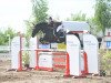 jumper Promise 7 (German Warmblood, 2001, from Pik Labionics)