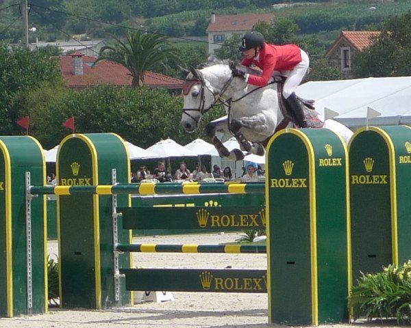 stallion Jumex Sport Archimdes (Belgian Warmblood, 2000, from Quidam de Revel)