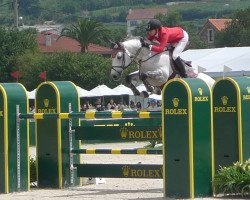 stallion Jumex Sport Archimdes (Belgian Warmblood, 2000, from Quidam de Revel)