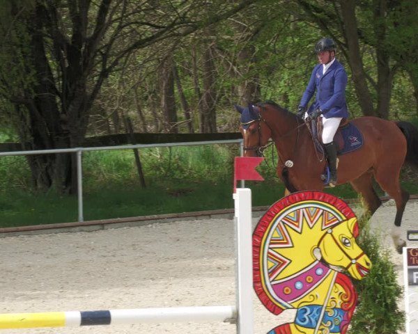 Reitturnier Karlsfeld 2022