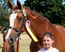 broodmare Zaubermärchen (Trakehner, 1990, from Märchenprinz)