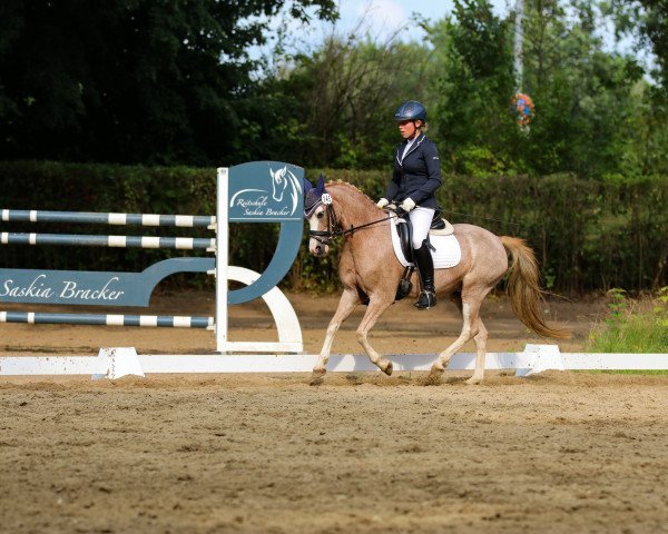 dressage horse Minnie Mouse 6 (Welsh-Pony (Section B), 2011, from Best Boy)