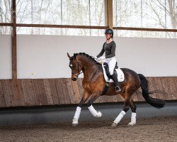 dressage horse Felipe Noir (Trakehner, 2017, from Perpignan Noir)