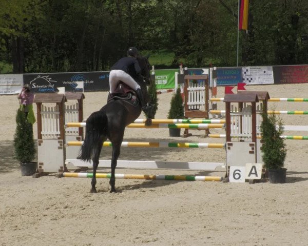Reitturnier Karlsfeld 2022