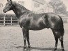 stallion Waidmannsheil xx (Thoroughbred, 1957, from Asterios xx)