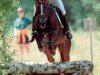 stallion Emiras DS (Russian Trakehner, 1988, from Gret 4)