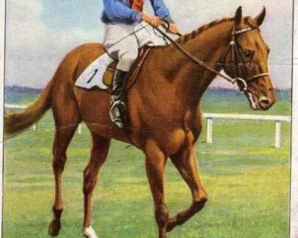 stallion Panorama xx (Thoroughbred, 1936, from Sir Cosmo xx)