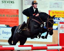 broodmare City 10 (Oldenburg show jumper, 2007, from Carenzo)