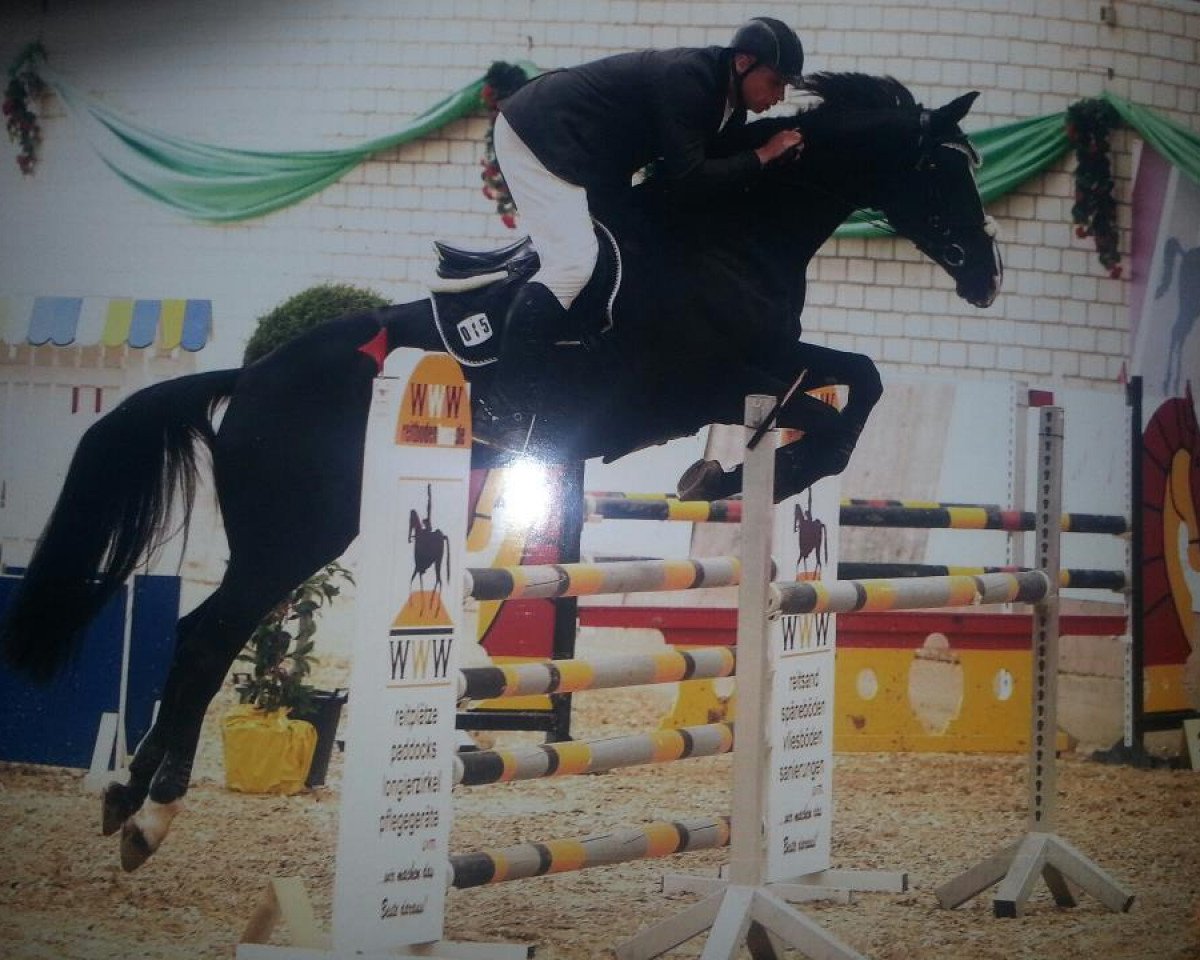 broodmare Allbanie (Rhinelander, 2007, from Abanos)