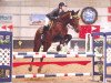 jumper Golden Eye 10 (Hanoverian, 1996, from Grand Cru)