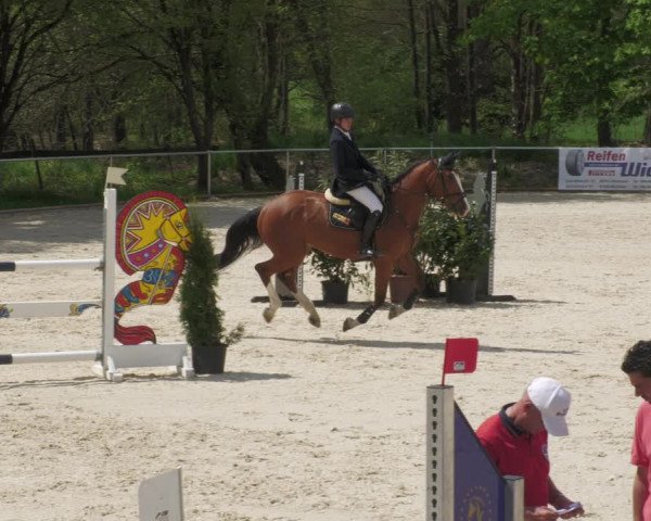 Reitturnier Karlsfeld 2022