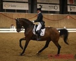 dressage horse Fitou L (Danish Warmblood, 1999, from Florestan I)