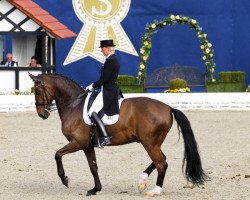 dressage horse Balmoral W (Westphalian, 2003, from Breitling W)