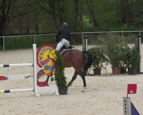 Reitturnier Karlsfeld 2022